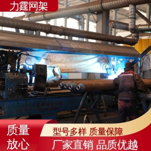 厂家直供 一体化服务 免费设计 网架结构建筑 力霆